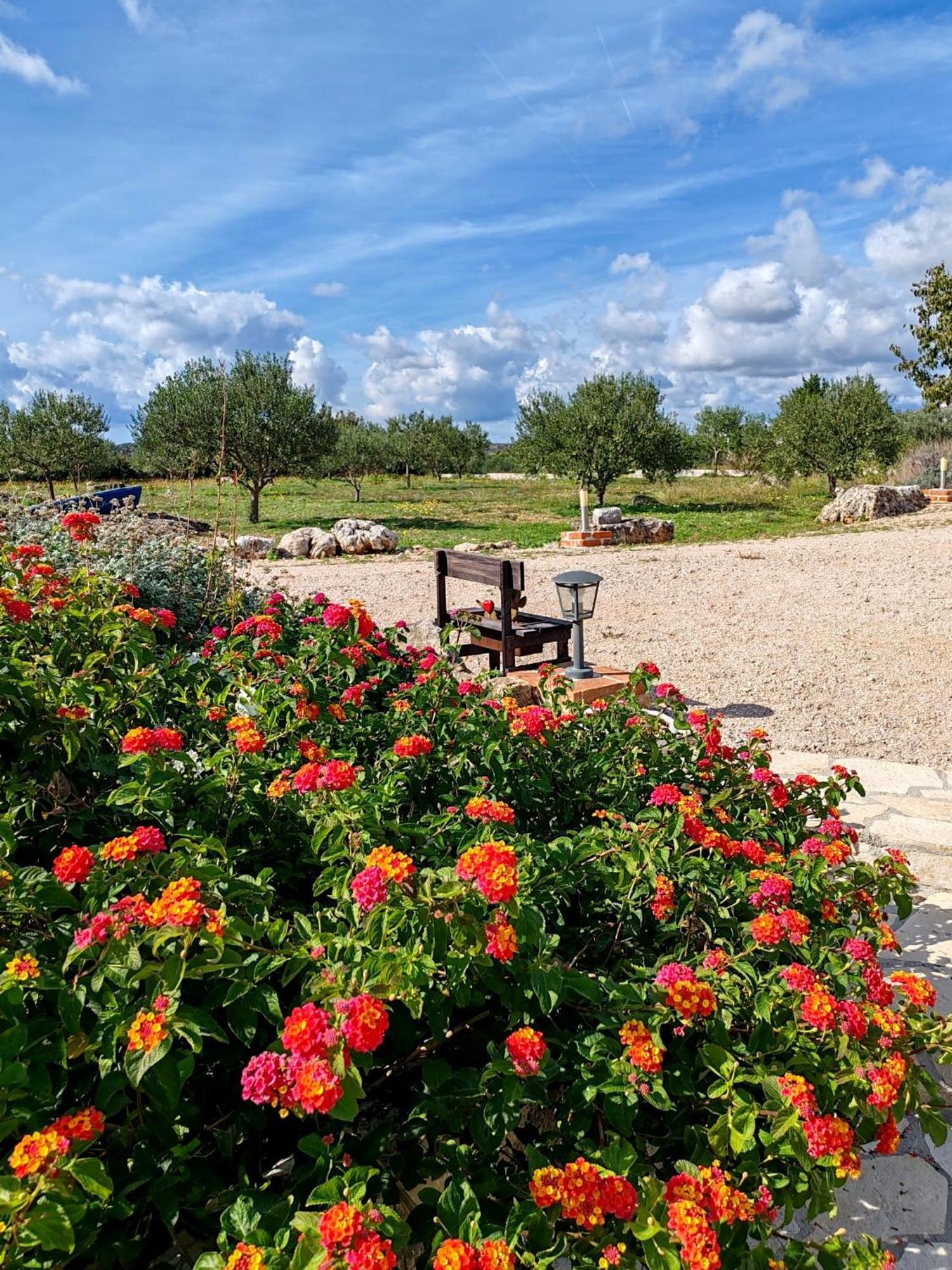 Holiday Home Juli With Jacuzzi Sibenik Exterior photo